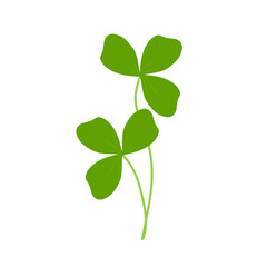 Illustration of green clover plant 