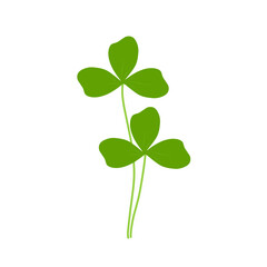 Illustration of green clover plant 