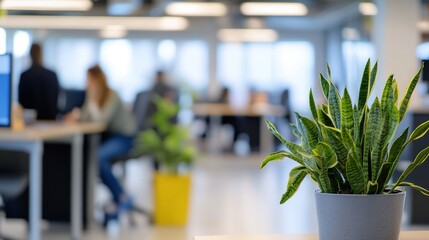 Modern Business Office with Blurred People in Casual Wear Meeting, Bokeh Background