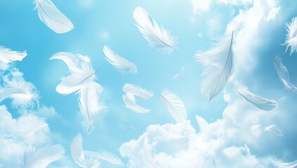 Floating feathers in a light sky