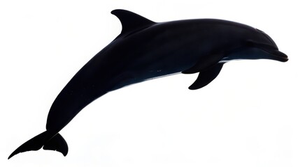 Fototapeta premium Silhouette Dolphin Leap