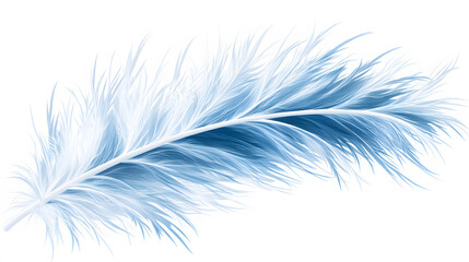 Obraz premium A delicate blue feather with soft, wispy strands, showcasing a blend of light and dark shades, resembling tranquility and elegance