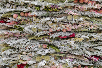 Decorative panel composed of dried wild plants, flowers and lichens