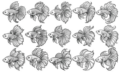 Betta Fish Fish-Themed Coloring Page for Adults, Exquisite Line Art for Relaxation and Stress Relief, Perfect for Adult Coloring Books or Printable Art Therapy, High-Quality Illustration.