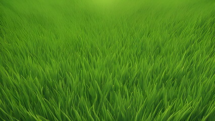 Obraz premium Lush green grass field under bright natural sunshine