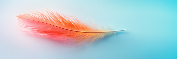 Obraz premium A surreal image of a quill floating in a dreamlike space, where soft, ambient shadows create a