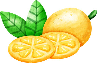 watercolor lemon