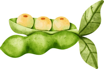 watercolor peas