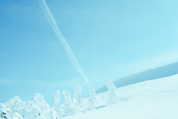 山形蔵王の美しい樹氷
