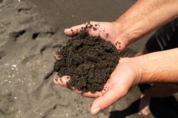 magnetic black sand in the village of Ureki in Georgia. Black sand is held in the hands of a man on the beach