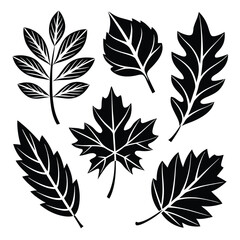 Minimalist Leaf Silhouettes Nature-Themed Vector Illustration Pack