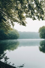 Misty Lake Morning Tranquil Water Reflected in Green Trees