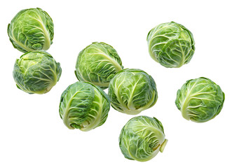 Fototapeta premium Brussels sprouts flying isolated on white background. Package design element