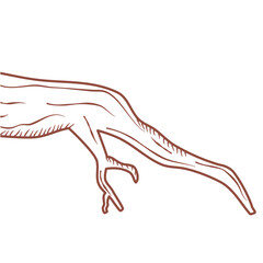 tree branch lines vector icon