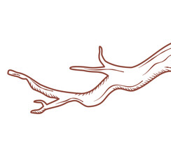 tree branch lines vector icon