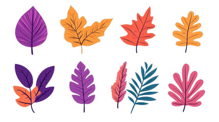 Obraz premium Colorful autumn leaves in various shapes, vibrant purple orange red and blue foliage, perfect for seasonal themes and design. Isolated on white background or PNG