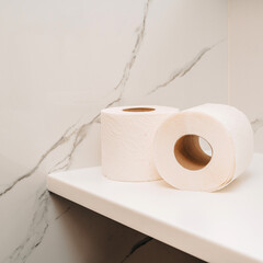 Toilet paper rolls on display in a cozy and organized bathroom