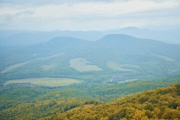 Obraz premium A mountain range with a blue sky in the background. The mountains are covered in trees and the sky is clear