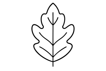 "Minimal Oak Leaf Line Art for Eco-Friendly and Nature-Inspired Branding"

