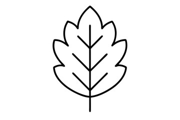 "Minimal Oak Leaf Line Art for Eco-Friendly and Nature-Inspired Branding"

