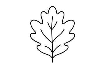 "Minimal Oak Leaf Line Art for Eco-Friendly and Nature-Inspired Branding"

