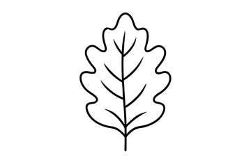 "Minimal Oak Leaf Line Art for Eco-Friendly and Nature-Inspired Branding"

