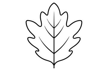 "Minimal Oak Leaf Line Art for Eco-Friendly and Nature-Inspired Branding"

