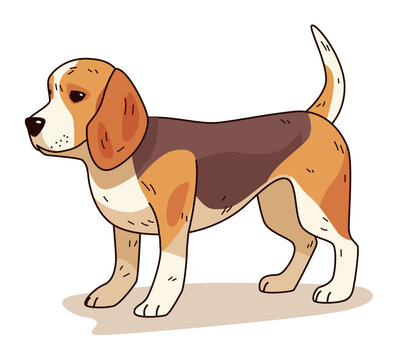 Beagle dog cartoon cute standing brown white playful pet design isolated on white background