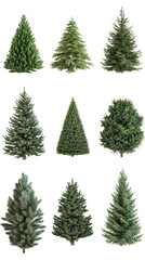 Fototapeta premium Christmas trees collection with transparent background, ideal for festive design and decorative holiday graphics