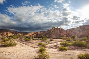 Cafayate