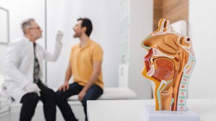 Diagnosis and treatment of ENT diseases. Nasal and oral cavity anatomical model on table over...
