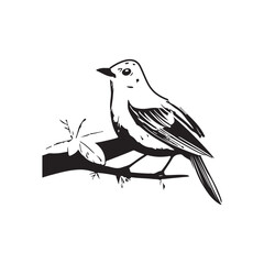 Bird Vector