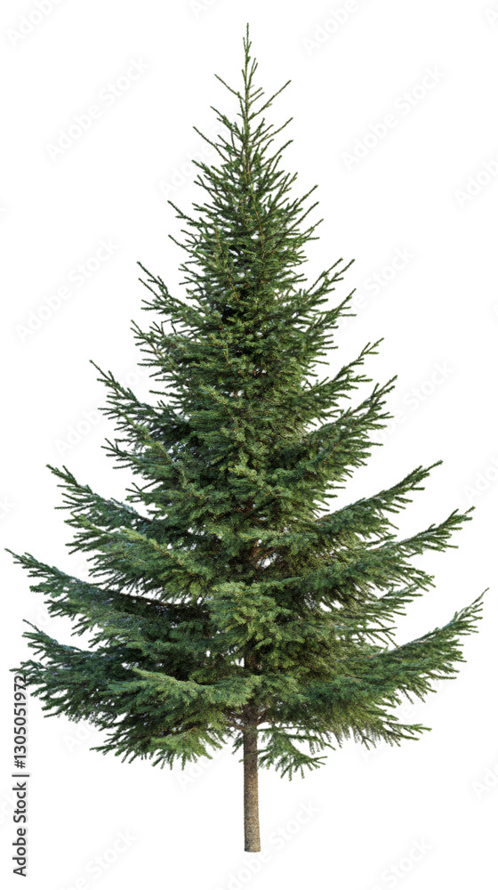 Aufkleber Photorealistic 3D green spruce tree rendering, transparent background - perfect for architectural visualization and eco-design projects