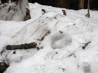snow winter ice