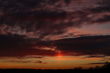 Lilac-orange clouds on a spring evening over growing trees