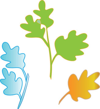 a nice leaf green photo or image