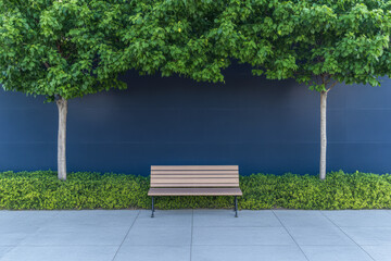 Bench under trees beside a blue wall in an urban setting during daylight hours