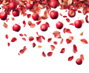 Falling red apples and leaves nature scene autumn isolated on transparent background png