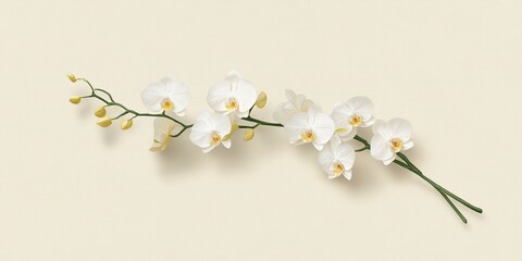 Elegant White Orchid Branch: A delicate branch of pure white orchids, with subtle yellow centers, arranged against a muted beige background.  This image exudes a sense of elegance, serenity.