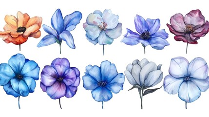 A stunning watercolor floral set featuring hand painted abstract botanical each flower elegantly crafted with delicate brushstrokes and vibrant hues  isolated on a clean background