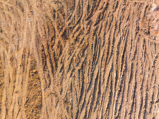 Wheel tracks on the ground on the dirt road.
