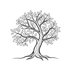 Outline Tree Of Life  vector art