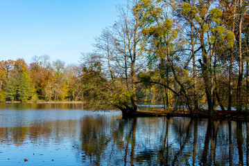 Badenburger Lake in Nymphenburg Park - Germany