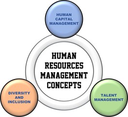 Human resources management is a system that regulates the workforce within a company
