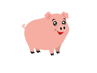 Cute little pig on a white background.