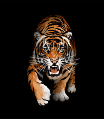 tiger crawling out of shadow vector illustration created by hand drawn without AI