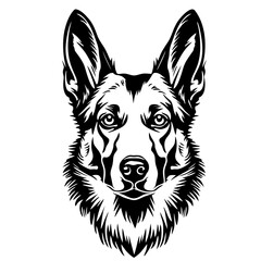 Naklejka premium AUSTRALIAN cattle dog Intricate black and white border collie head illustration with detailed features