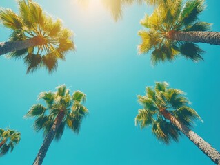 Tropical Palm Trees Against a Vibrant Blue Sky Capturing the Essence of Summer Vacation with a Low Angle View and Warm Sunlight