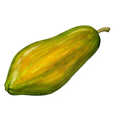 A colorful illustration of a papaya, showcasing its elongated shape and vibrant hues.