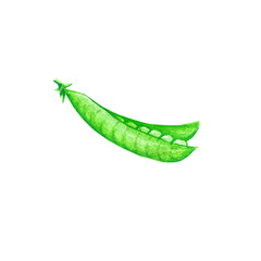 A vibrant green pea pod, showcasing its fresh and natural appearance.